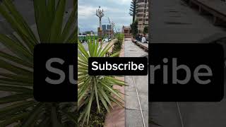 Addis Ababa piassa cinma Ethiopiashortsviral shortvideo shoryoutube [upl. by Teiluj874]