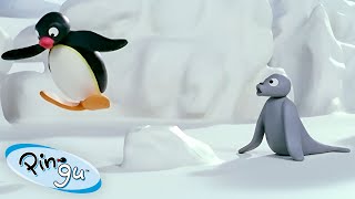 Pingu Learns to Fly 🐧  Pingu  Official Channel  Cartoons For Kids [upl. by Iow]