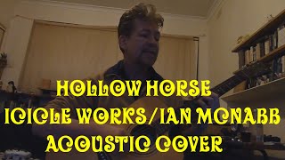 Hollow Horse Icicle WorksIan McNabb Acoustic Cover [upl. by Mikel396]