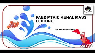 Paediatric Renal Mass Lesions for Radiology Exams [upl. by Vinnie393]