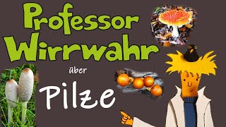 Professor Wirrwahr über Pilze Doku für Kinder Wissenssendung Wissenswertes über Fliegenpilze usw [upl. by Ettenrahc]