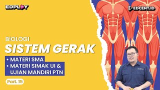 SISTEM GERAK  Materi Biologi SMA Ujian Mandiri PTN dan Perkuliahan  Part 15 [upl. by Ellison]