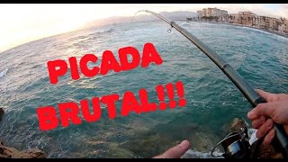 Pesca BOLOÑESA Torrenueva con SORPRESA Como engodar corcheo mar Pesca con boyaBolognese mare [upl. by Sollie678]