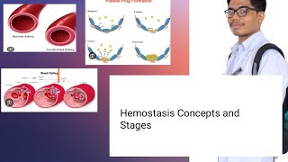 Hemostasis Physiology  Concepts and Mechanisms [upl. by Adym]