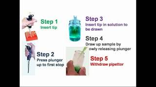 Steps Work of Micropipette [upl. by Rebmit]