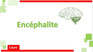 Encéphalite amp MéningoEncéphalite 🧠🩺  Cours  Neurologie [upl. by Oettam]