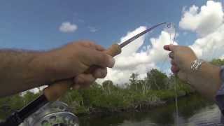 Heads Up Flyfishing Everglades 2013 [upl. by Hotze]