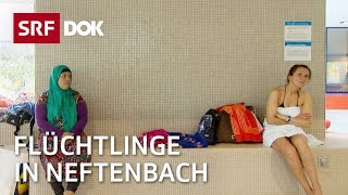 Flüchtlinge in Neftenbach  Zwei Welten treffen aufeinander  Doku  SRF Dok [upl. by Kalman]