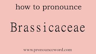 Brassicaceae How to pronounce Brassicaceae in english correctStart with B Learn from me [upl. by Yetsirhc]