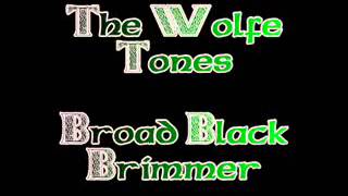 The Wolfe Tones  Broad Black Brimmer [upl. by Sakram]