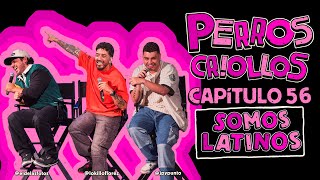 PERROS CRIOLLOS  SOMOS LATINOS CAP 56 [upl. by Nylanej]