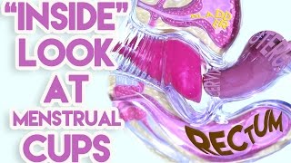 An quotInsidequot Look at Menstrual Cups [upl. by Alyac167]