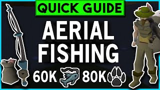 OSRS Aerial Fishing Guide  60K  80K FishHunter XPH  Quick Guide 2022 [upl. by Merideth286]