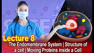 The Endomembrane System  Structure of a cell  Moving Proteins inside a Cell  Lecture 8 [upl. by Nairb]