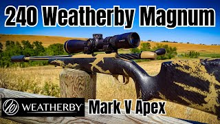 240 Weatherby Magnum to 600 Yards Weatherby Mark V Apex [upl. by Haveman]