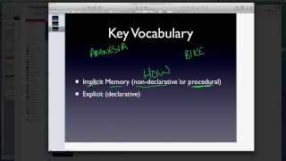 AP Psychology  Memory  Part 3  LongTerm Potentiation LTP [upl. by Hach]