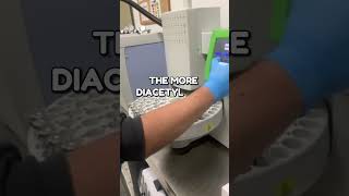 Diacetyl Testing w White Labs Analytical Lab [upl. by Cinom107]