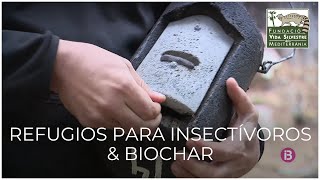 REFUGIOS PARA INSECTÍVOROS amp BIOCHAR [upl. by Inram]