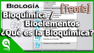 Biología  Bioquímica  Bioelementos ¿Qué es la Bioquímica 14 [upl. by Eyssej429]