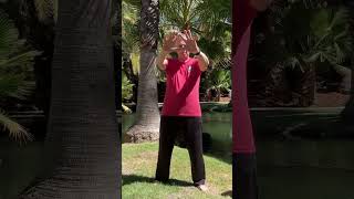 BUDDHA PALM HEALING HANDS QI GONG “SILENT VERSION” INDIAN SPRINGS buddhapalm healinghands qigong [upl. by Aicak]