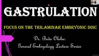 3RD WEEK OF DEVELOPMENT  GASTRULATION amp DERIVATIVES OF GERM LAYERS [upl. by Gnos]