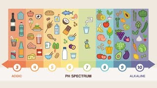 Top 10 Alkaline Foods You Should Be Eating Everyday [upl. by Suciram29]