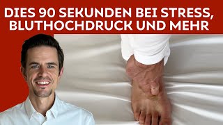 Drücke DIESE Punkte 90 Sekunden für Deine Leber bei Stress Angst und Bluthochdruck [upl. by Hartmann]