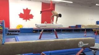 Busnari E variation Pommel Horse [upl. by Rafaelof]