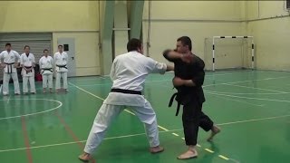 Shorin Ryu Karate Do  Okinawan Kobudo  Self Defense [upl. by Agem322]