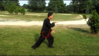 Hunyuan Taijiquan 48  Wang Fengming [upl. by Yerak]