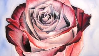 Comment dessiner une rose aux pastels secs avec Cindy Barillet [upl. by Assin]