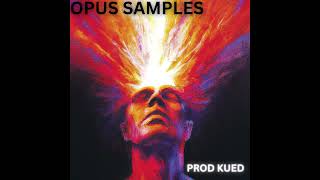 FREE LOOP KITSAMPLE PACK  quotOPUSquot Southside Metro Boomin Dez Wright OZ and Kingsway etc [upl. by Ecila]