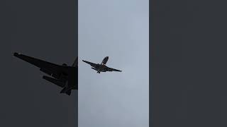 Cessna 560XL Citation XLS landing at SAN [upl. by Narayan]