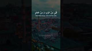 muhammadun sayyidul kawnayni  maula ya  whatsapp status  barieid eiduladha2024 shorts viral [upl. by Eelyak]