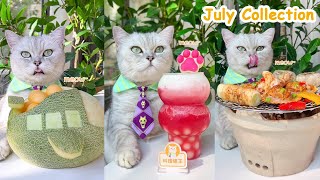 Enjoy The Chef Cat’s July Recipes ASMR  Cat Cooking Food  MilkteaampFruit Desserts And So On [upl. by Ayekal]