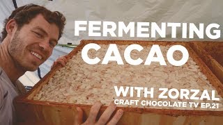 Fermenting Cacao 4 tier cascade system  Episode 21  Craft Chocolate TV [upl. by Judus462]