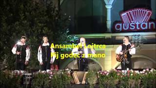 Ansambel Lojtrca Pij godec z mano Festival Guštanj 2018 [upl. by Safire856]