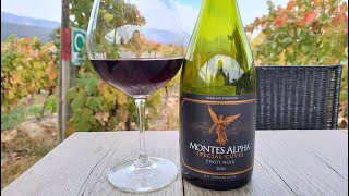 0283  Vinho Montes Alpha Special Cuvée Pinot Noir 2020 vinho vino wine [upl. by Dnomed734]