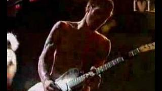 Red Hot Chili Peppers  Easily Live [upl. by Edras]