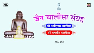 ये चालीसा सुनें घर में सुख शांति बनी रहेगी  श्री आदिनाथ भगवान चालीसा  Shri Mahavir Chalisa Sangrah [upl. by Hafeetal]