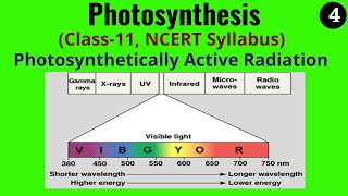 What is Photosynthetically Active Radiation  Plant Biology Made Easy [upl. by Eesdnil819]