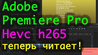 Adobe Premiere Pro h265  как заставить проигрывать и понимать hevc [upl. by Topliffe]