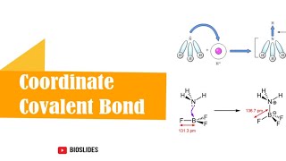 Coordinate Covalent Bond  Dative Covalent Bond  coordinatecovalentbond coordinate bioslides [upl. by Maddis344]