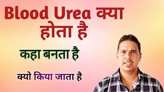 Blood urea test Blood Urea Blood urea explain [upl. by Eittak364]