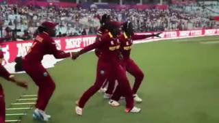 Dj bravo champion song with 2016 best westindies moments [upl. by Netloc352]