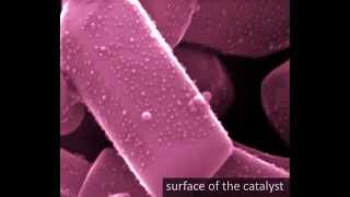 Catalyst for Water Splitting Hydrogen Gas derived from Water  Made by Laser Ablation in Pure Water [upl. by Asyla]