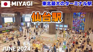 【宮城】仙台駅amp周辺を歩く2024 東北最大の都市 ペデストリアンデッキは日本最大 Walking around Sendai Station Miyagi Japan [upl. by Hsac464]