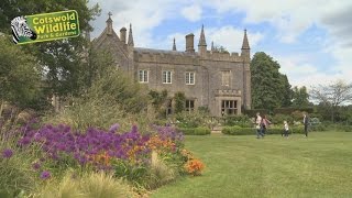 Cotswold Wildlife Park  Gardens [upl. by Solitta791]