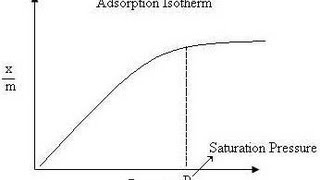 Adsorption Isotherm  Amrita University [upl. by Tadd858]