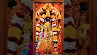 Lakshmi Devi l Durga Devi l Dasara Navaratri shortsytshorts [upl. by Col]